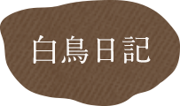 白鳥日記