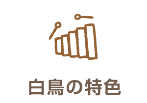 白鳥について